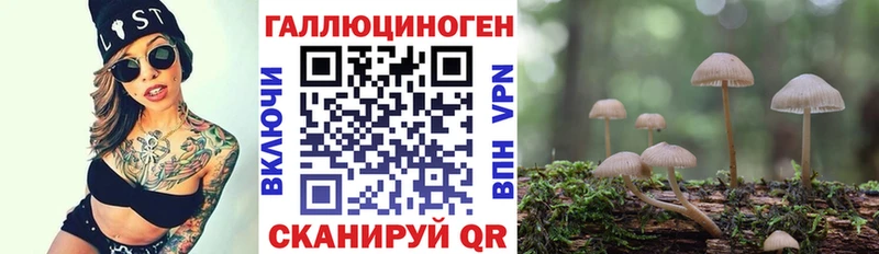 наркотики  Бор  ссылка на мегу как войти  Галлюциногенные грибы Cubensis 